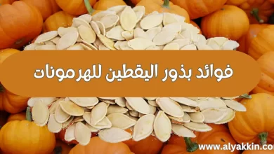 فوائد بذور اليقطين للهرمونات