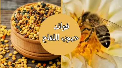 فوائد حبوب اللقاح