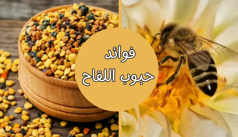 فوائد حبوب اللقاح