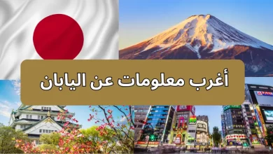  أغرب معلومات عن اليابان