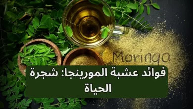 فوائد عشبة المورينجا: شجرة الحياة