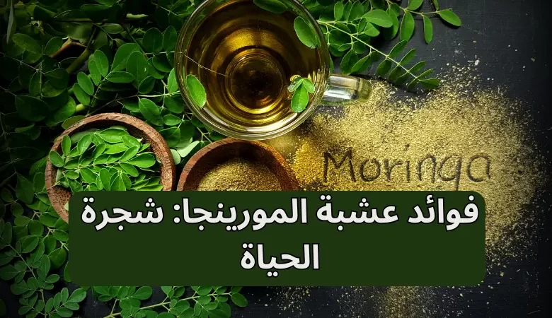 فوائد عشبة المورينجا: شجرة الحياة