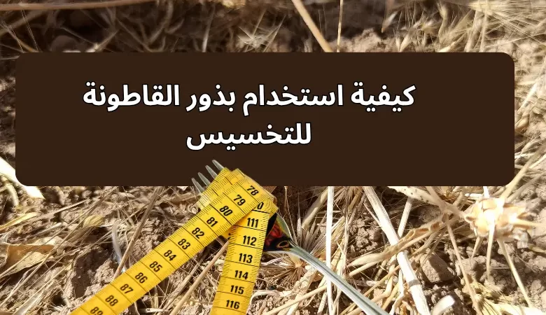 كيفية استخدام بذور القاطونة للتخسيس