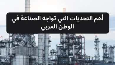  الصناعة في الوطن العربي: التحديات والمقترحات